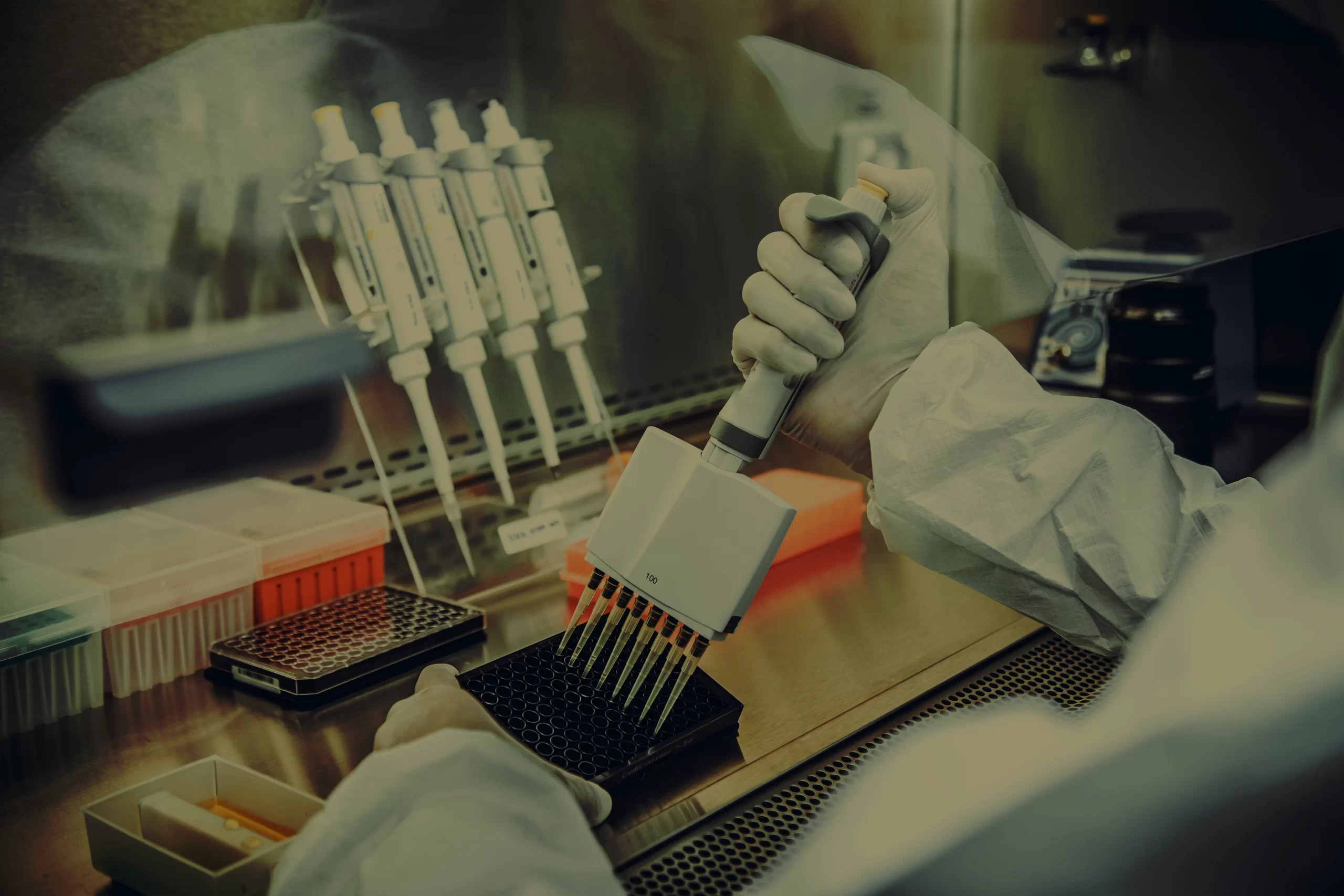 medium_healthcare_dr